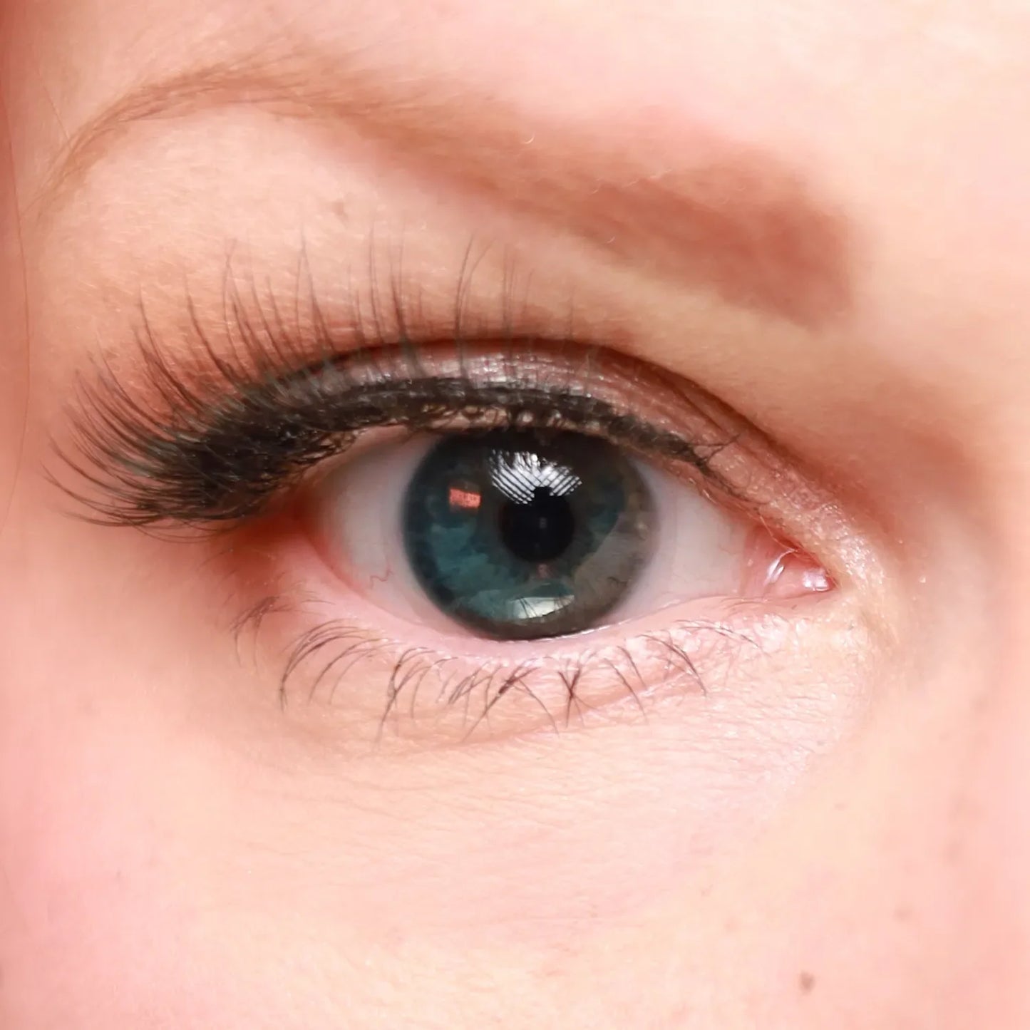 New! Eyeling Dark Aqua