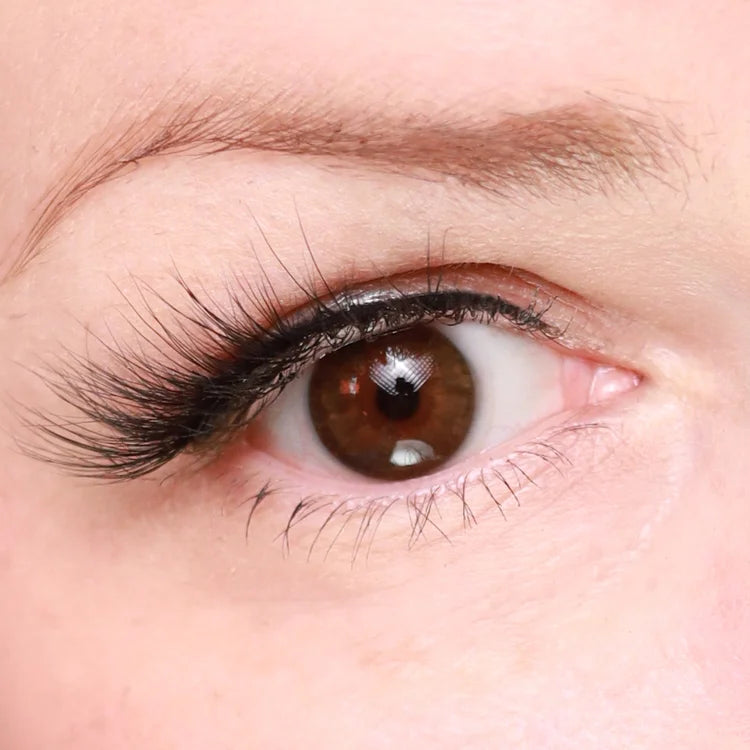 Eyeling Dark Brown 1-month Lenses
