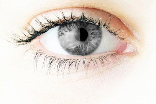 Eyeling Grey - Eyeling.com
