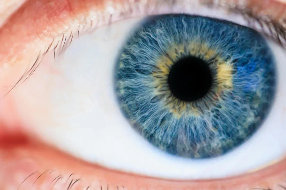 Best Colored Contacts for Blue Eyes