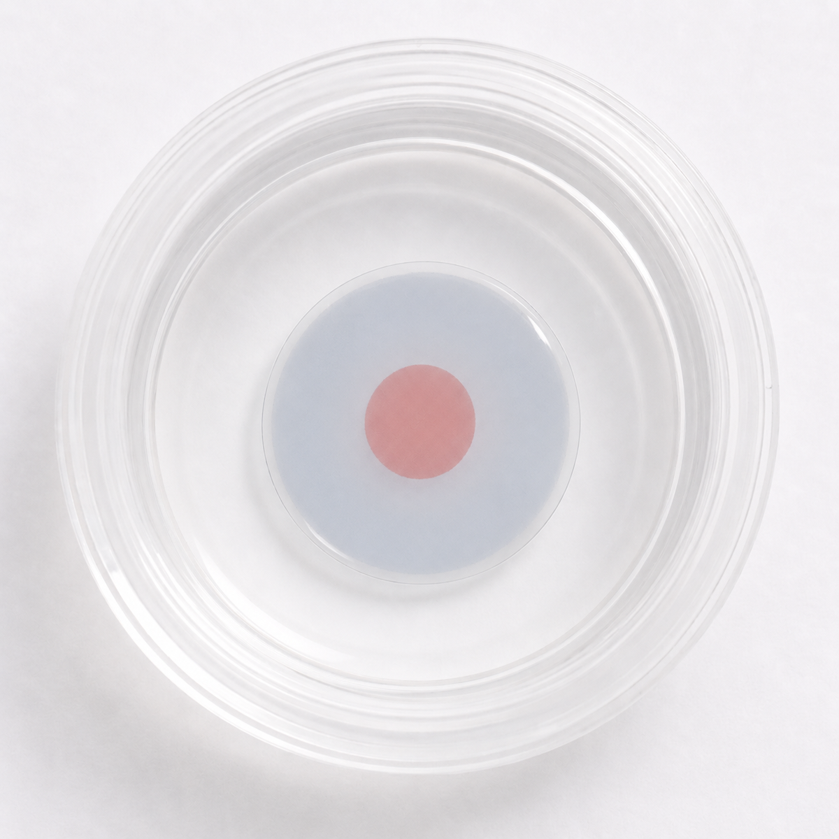 New! Eyeling Light Blue with FL-41