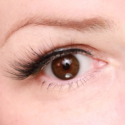 Eyeling Dark Brown contact lenses for blue eyes