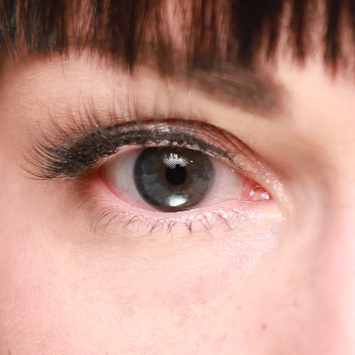 Eyeling Grey